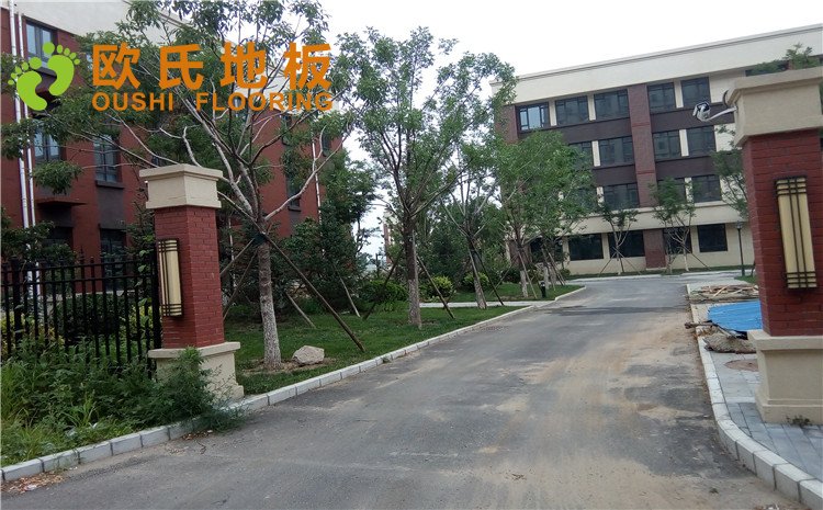 北京順義區(qū)天順小學籃球館木地板圖片