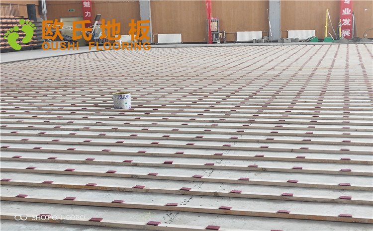 西寧市世紀職業(yè)技術學?；@球訓練館木地板圖片