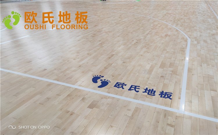 西寧市世紀職業(yè)技術學?；@球訓練館木地板圖片